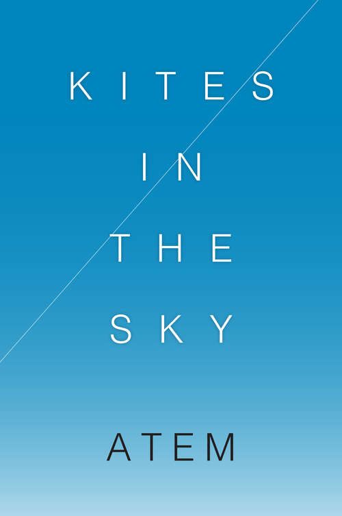 Book cover of Kites in the Sky