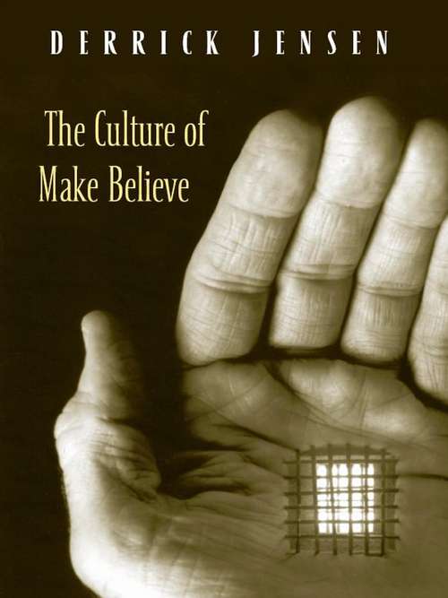 Book cover of The Culture of Make Believe