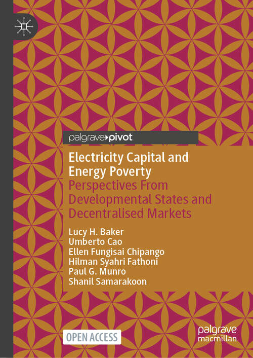 Book cover of Electricity Capital and Energy Poverty: Perspectives From Developmental States and Decentralised Markets
