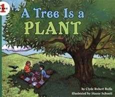 Book cover of A Tree is a Plant