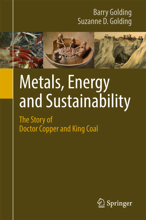 Book cover of Metals, Energy and Sustainability