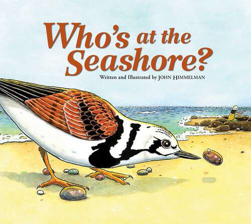 Book cover of Who's at the Seashore?