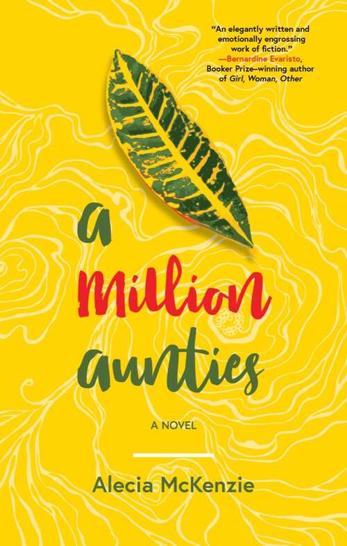 Book cover of A Million Aunties
