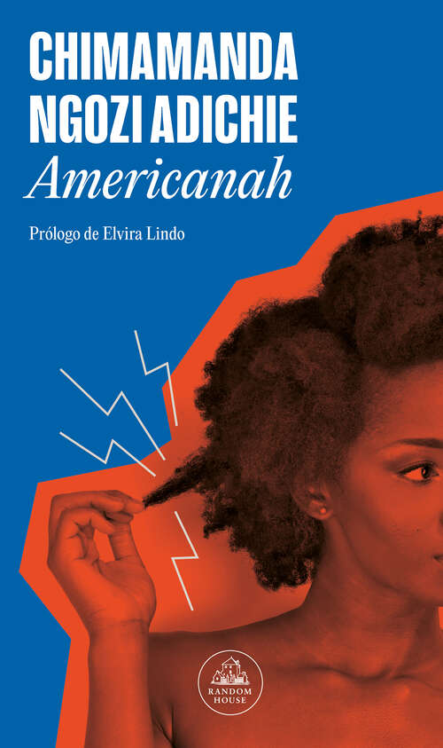 Book cover of Americanah