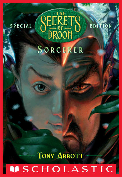 Book cover of Sorcerer (The Secrets of Droon: Special Edition #4)