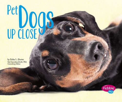 Book cover of Pet Dogs Up Close (Pets Up Close Ser.)