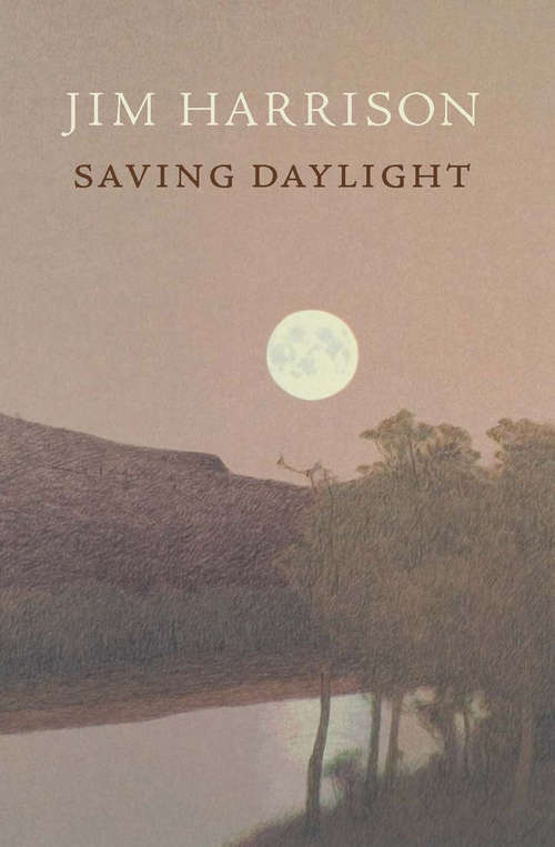 Book cover of Saving Daylight