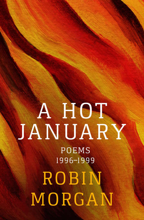 Book cover of A Hot January