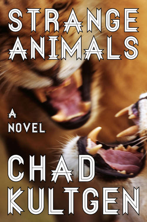 Book cover of Strange Animals