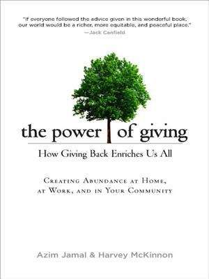 Book cover of The Power of Giving: How Giving Back Enriches Us All