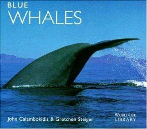 Book cover of Blue Whales (Worldlife Library)