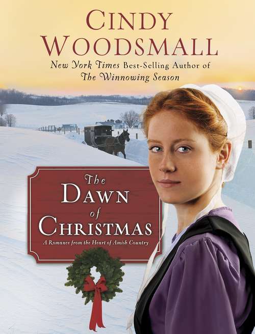 Book cover of The Dawn of Christmas