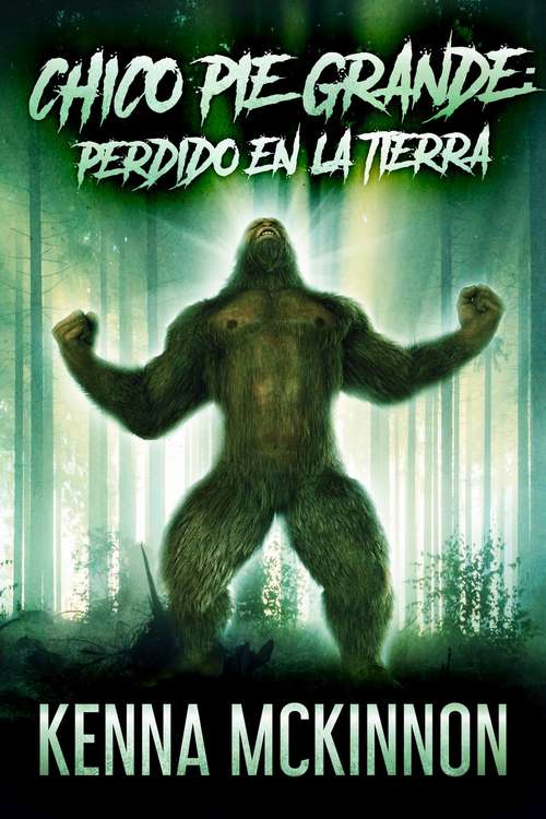 Book cover of Chico Pie Grande: Perdido En La Tierra