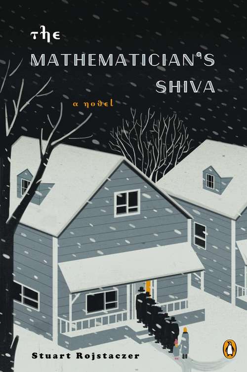 Book cover of The Mathematician's Shiva