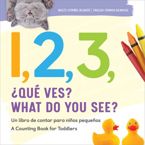 Book cover of 1, 2, 3, What Do You See? English-Spanish Bilingual