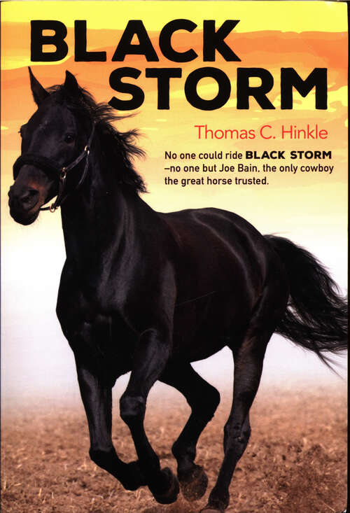 Book cover of Black Storm: A Horse of the Kansas Hills