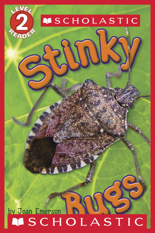 Book cover of Stinky Bugs (Scholastic Reader, Level 2)