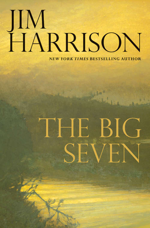 The Big Seven (The Detective Sunderson Series #2)