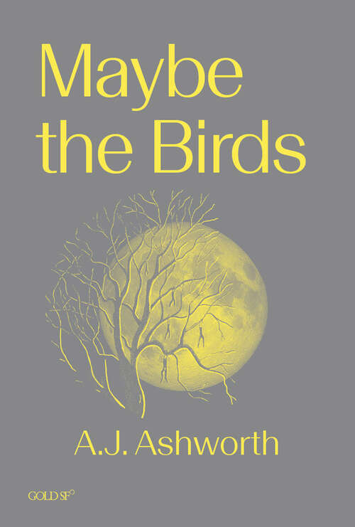 Book cover of Maybe the Birds (Goldsmiths Press / Gold SF)