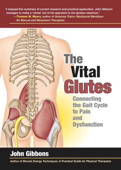 Book cover of The Vital Glutes