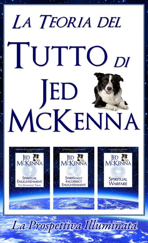 Book cover of La Teoria del Tutto di Jed McKenna La Prospettiva Illuminata
