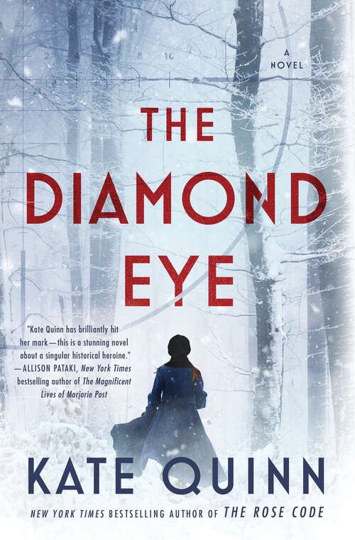 Book cover of The Diamond Eye: A Novel