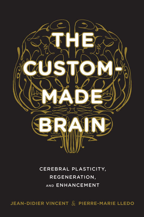 Book cover of The Custom-Made Brain