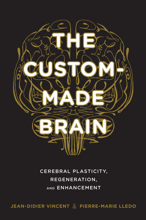 Book cover of The Custom-Made Brain: Cerebral Plasticity, Regeneration, and Enhancement