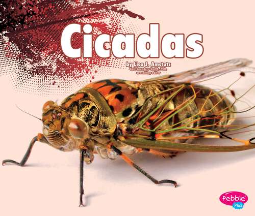 Book cover of Cicadas (Creepy Crawlers Ser.)