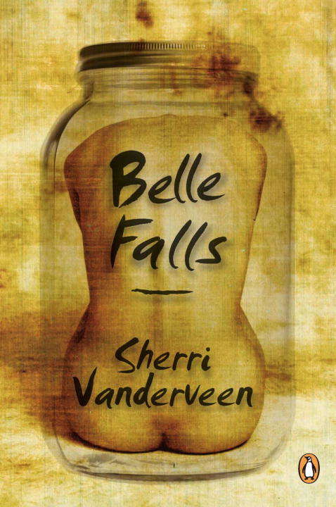 Book cover of Belle Falls