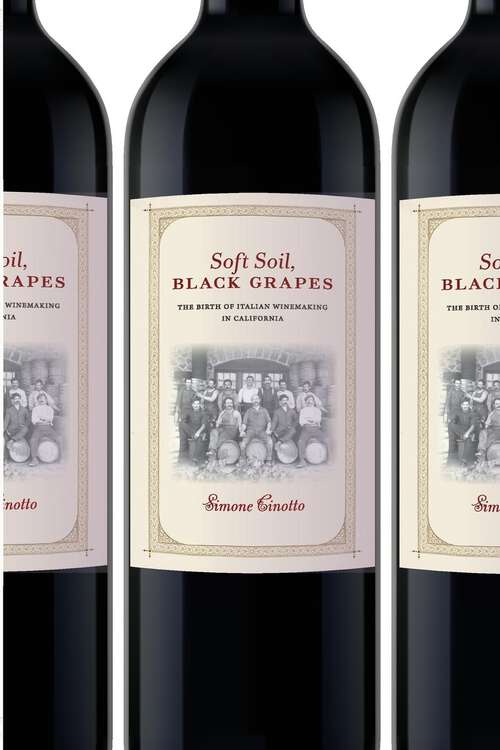 Soft Soil, Black Grapes: The Birth of Italian Winemaking in California (Nation of Nations #21)