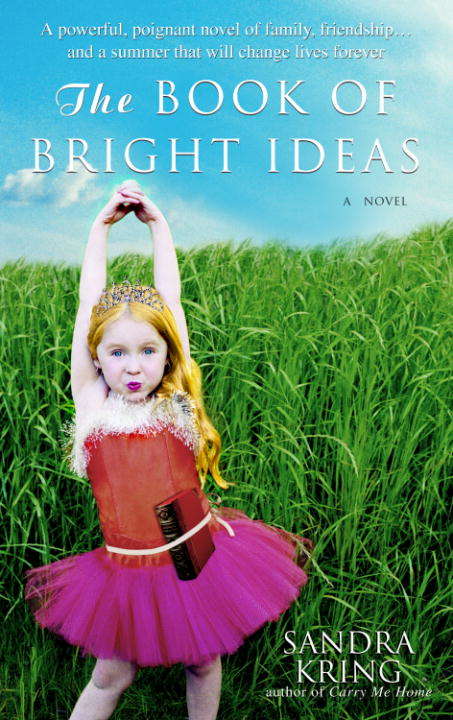 Book cover of The Book of Bright Ideas