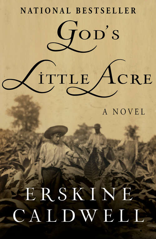 Book cover of God's Little Acre