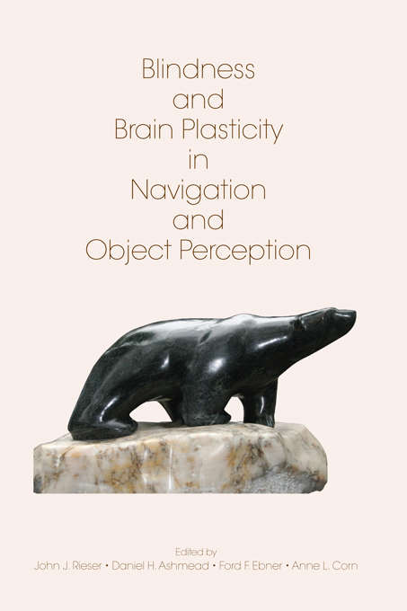 Book cover of Blindness and Brain Plasticity in Navigation and Object Perception