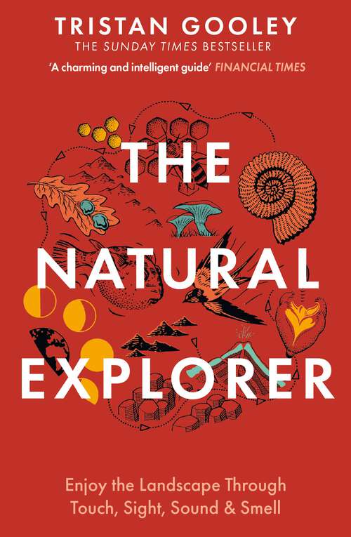Book cover of The Natural Explorer: Understanding Your Landscape