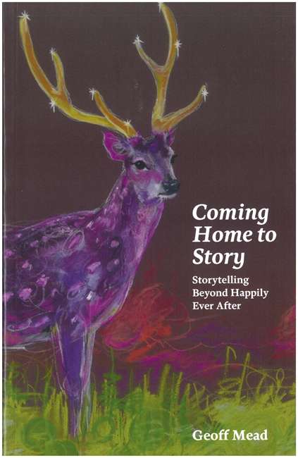 Book cover of Coming Home to Story: Storytelling Beyond Happily Ever After