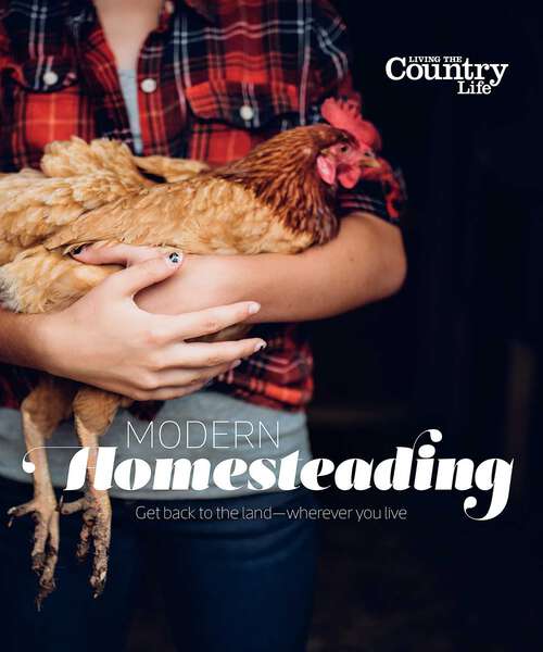Book cover of Modern Homesteading: Get Back to the Land - Wherever You Live