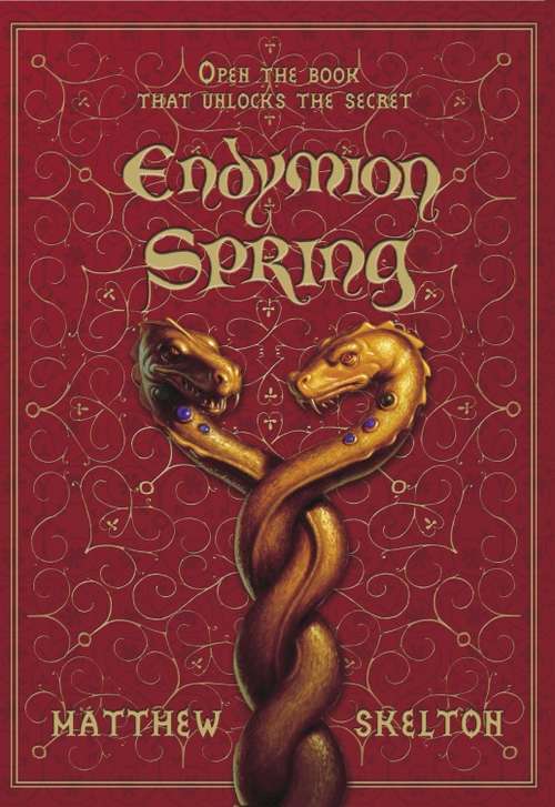 Book cover of Endymion Spring