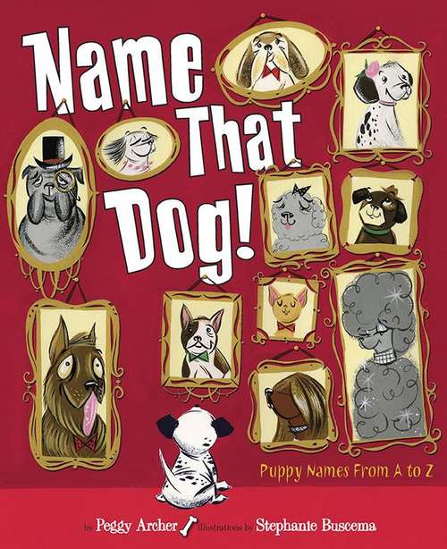 Book cover of Name That Dog!