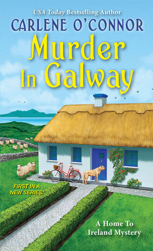 Book cover of Murder in Galway (A Home to Ireland Mystery #1)