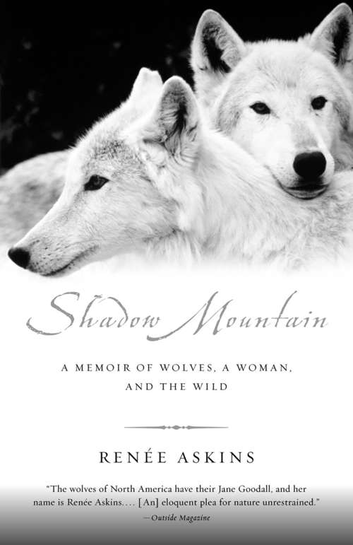 Book cover of Shadow Mountain