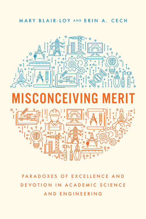 Misconceiving Merit: Paradoxes of Excellence and Devotion in Academic Science and Engineering