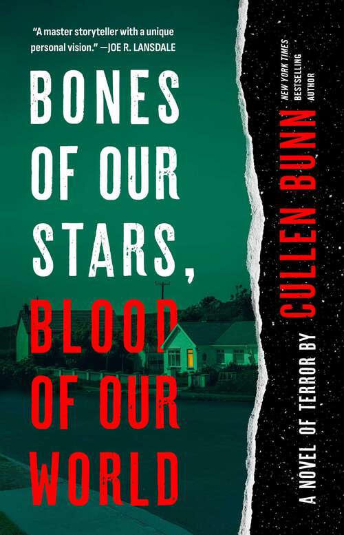Book cover of Bones of Our Stars, Blood of Our World: A Novel of Terror