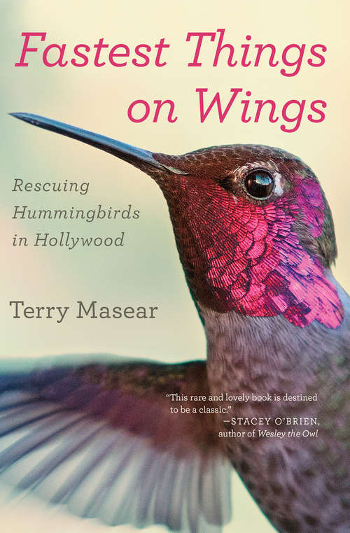 Book cover of Fastest Things on Wings