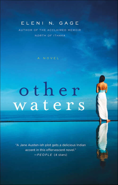 Book cover of Other Waters: A Novel