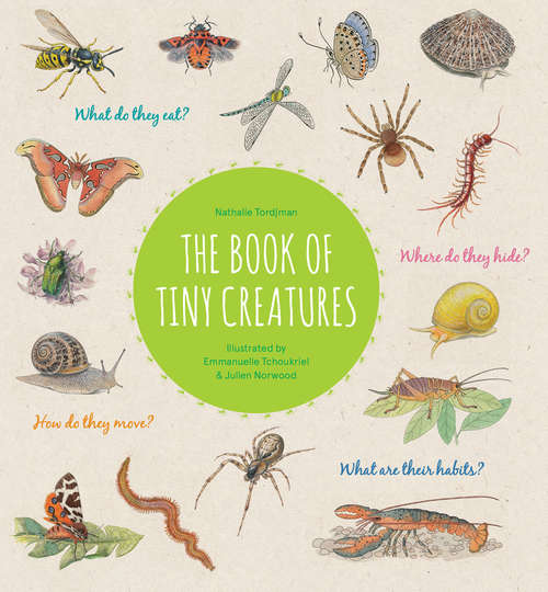 Book cover of The Book of Tiny Creatures