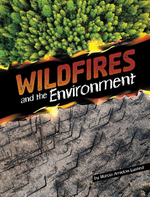 Book cover of Wildfires and the Environment (Disasters And The Environment Ser.)
