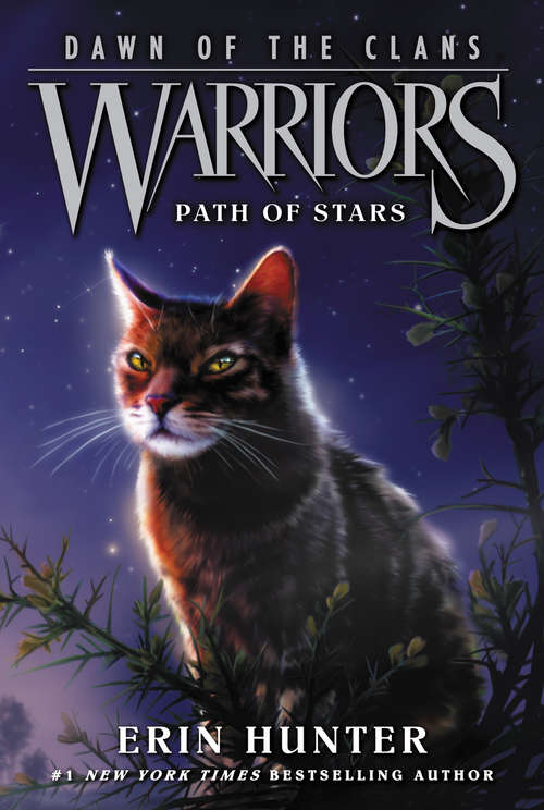 Path of Stars (Warriors: Dawn of the Clans #6)
