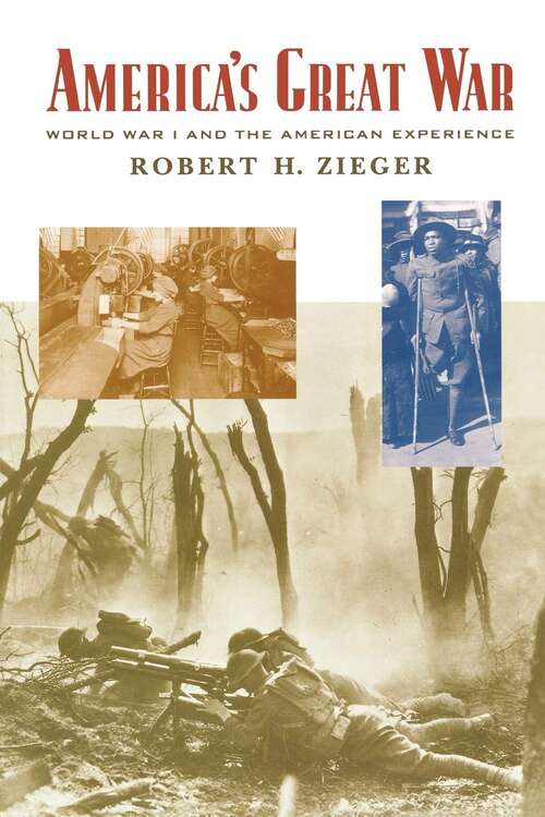 Book cover of America's Great War: World War I and the American Experience (Critical Issues In American History)