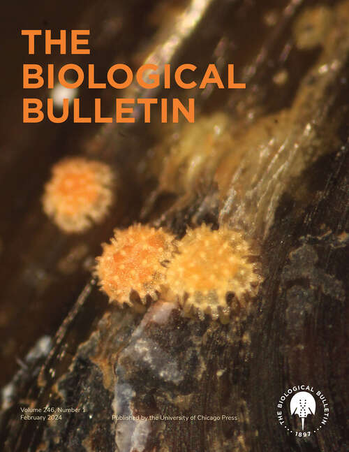 Book cover of The Biological Bulletin, volume 246 number 1 (February 2024)